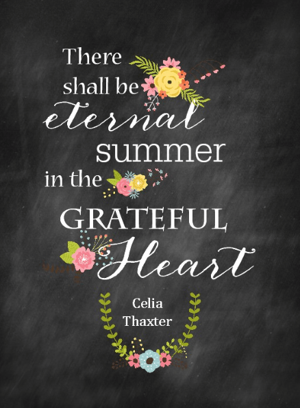 Screen Shot 2018-06-26 at 10.19.15 PM.png