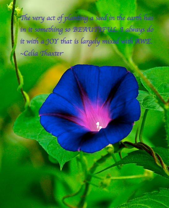 Screen Shot 2018-06-26 at 10.36.04 PM.png