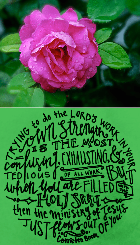 Screen Shot 2018-06-26 at 10.38.44 PM.png