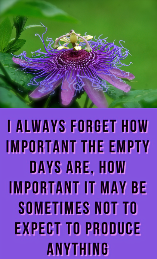 Screen Shot 2018-06-26 at 10.41.15 PM.png