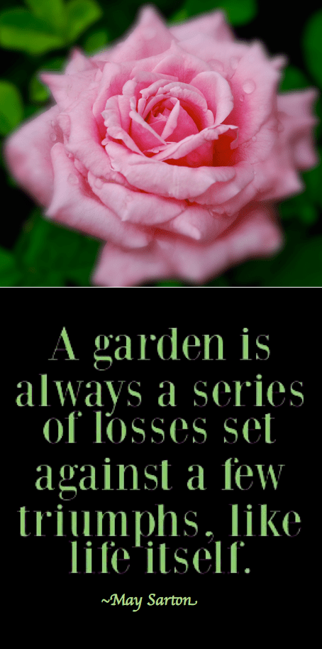 Screen Shot 2018-06-26 at 10.45.28 PM.png