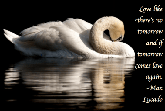 Screen Shot 2018-06-29 at 9.18.40 PM.png