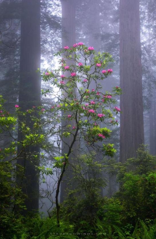 36414794_1792850207460970_7812400444608610304_n (1)