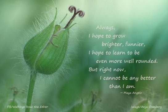 37032712_1021477524684251_3416229206420357120_n