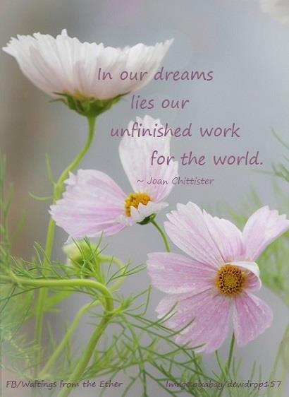 37342212_1027915617373775_8173257158662553600_n (1)