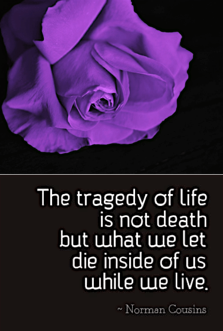 Screen Shot 2018-07-01 at 10.45.14 PM.png