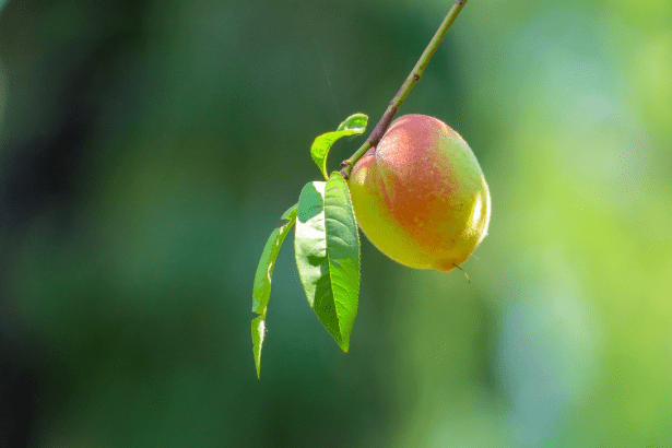 Screen Shot 2018-07-01 at 11.07.48 PM.png