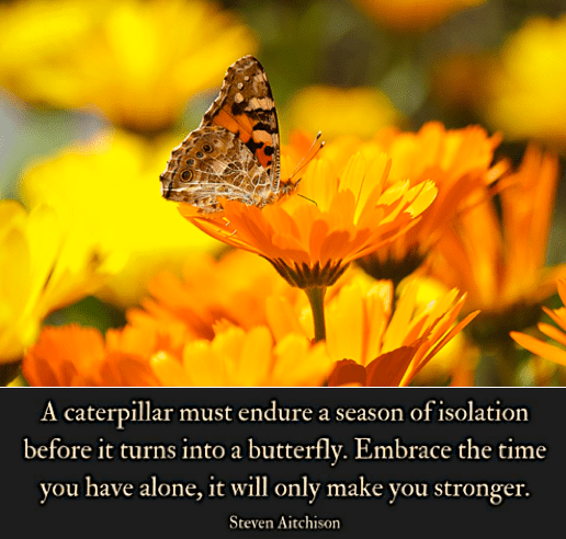 Screen Shot 2018-07-03 at 9.22.43 PM.png