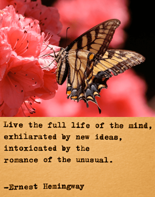 Screen Shot 2018-07-03 at 9.25.47 PM.png