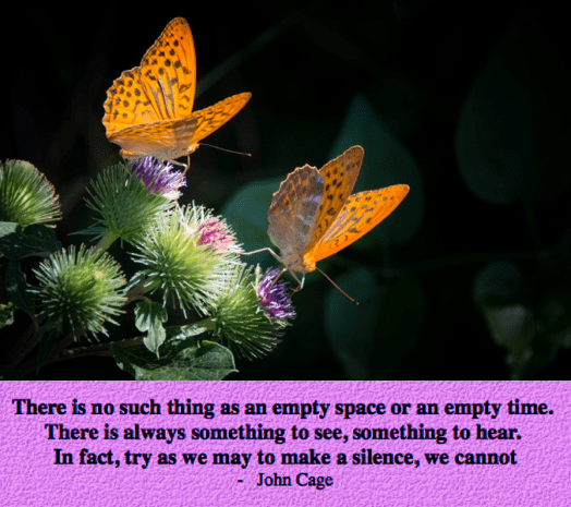 Screen Shot 2018-07-03 at 9.37.04 PM.png