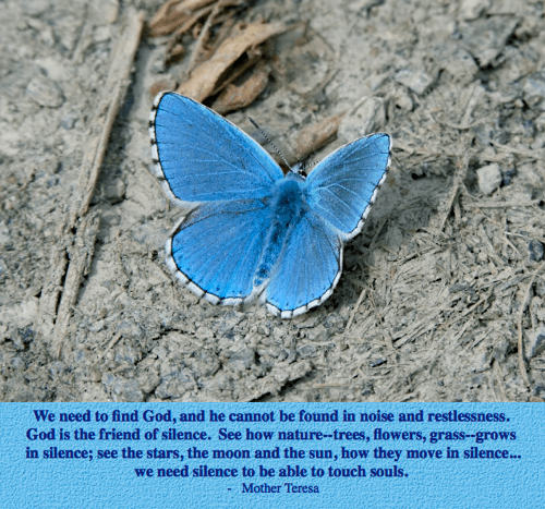 Screen Shot 2018-07-03 at 9.46.49 PM.png