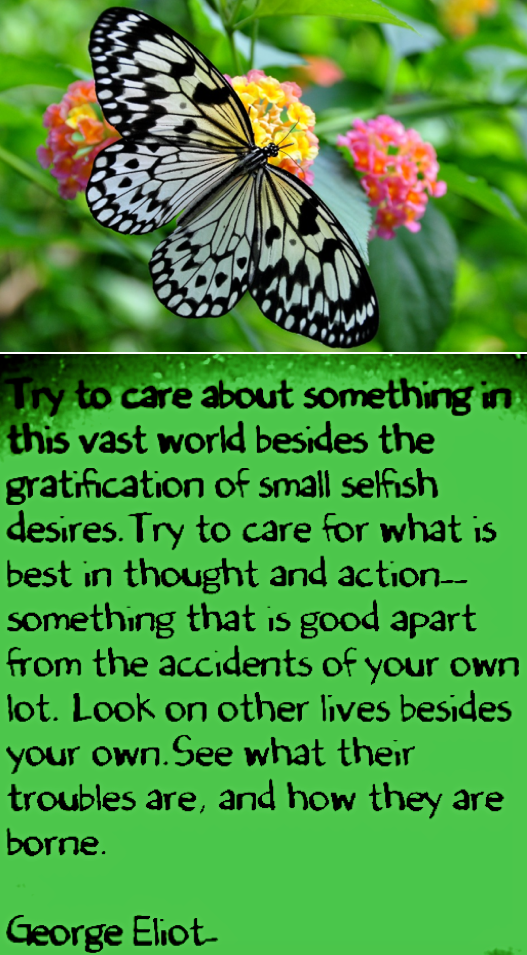 Screen Shot 2018-07-04 at 2.21.35 PM.png