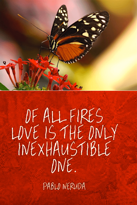 Screen Shot 2018-07-04 at 2.27.33 PM.png