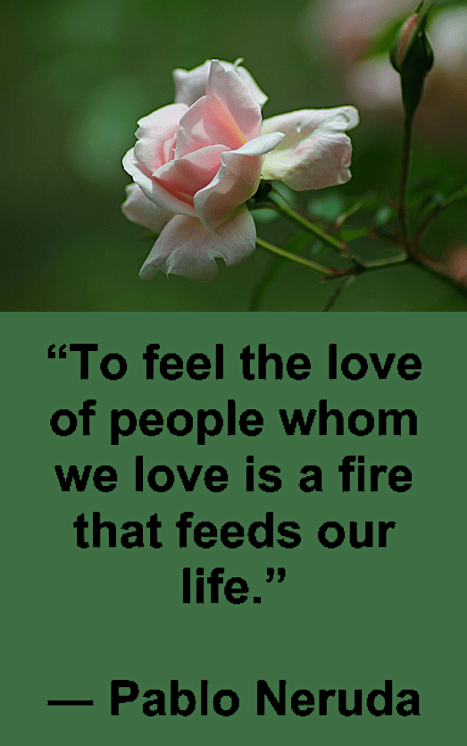 Screen Shot 2018-07-04 at 2.35.25 PM.png