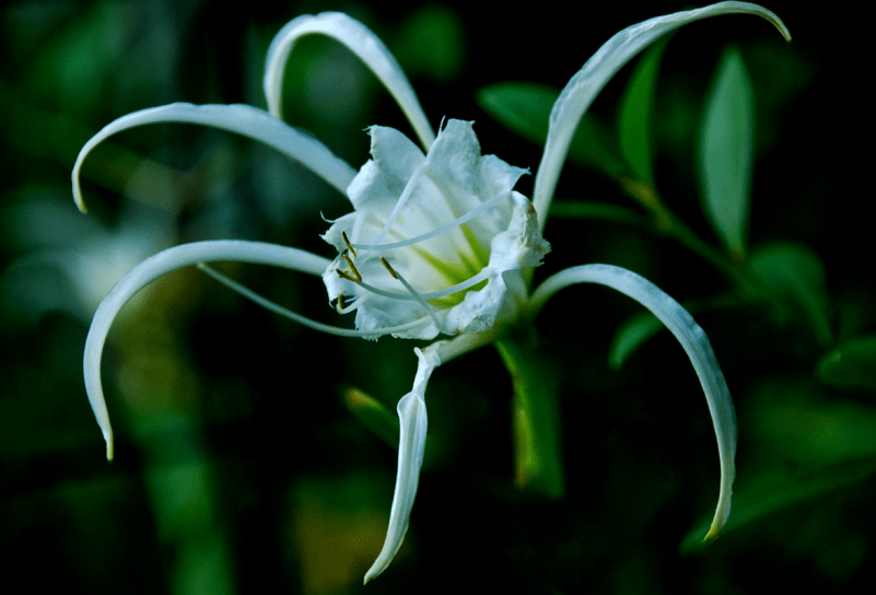 Screen Shot 2018-07-08 at 10.37.15 PM.png