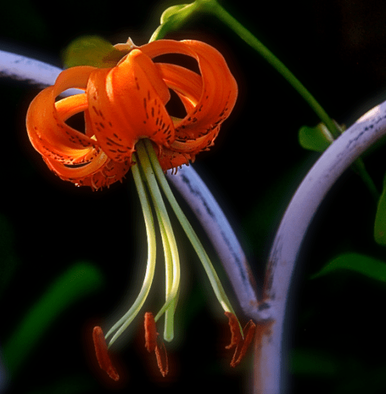 Screen Shot 2018-07-08 at 10.43.12 PM.png