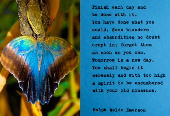 Screen Shot 2018-07-09 at 9.19.01 PM.png