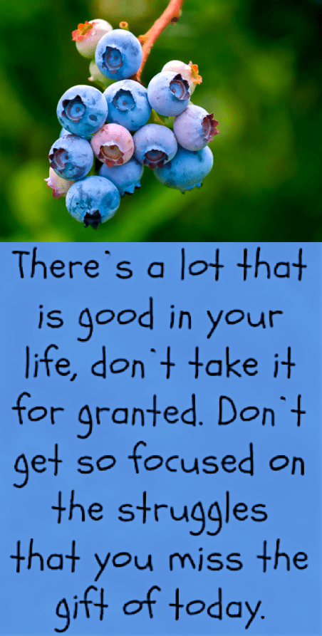 Screen Shot 2018-07-09 at 9.22.29 PM.png