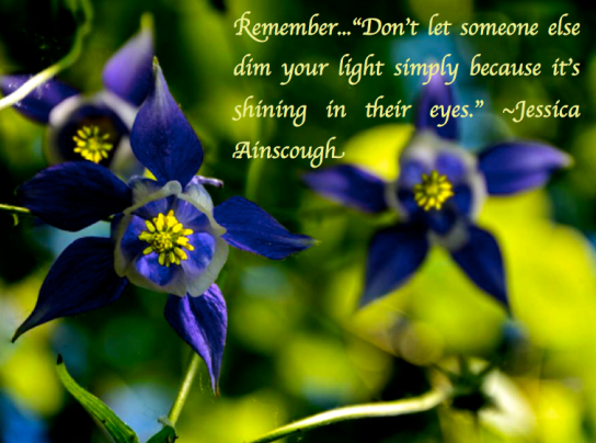 Screen Shot 2018-07-09 at 9.28.02 PM.png