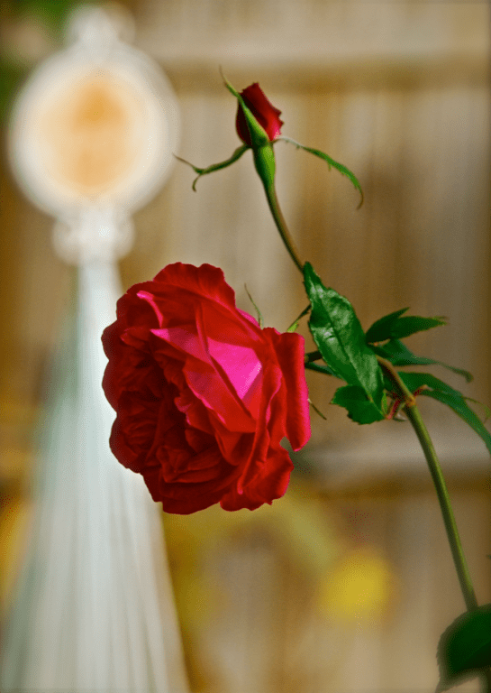 Screen Shot 2018-07-15 at 6.40.25 PM.png