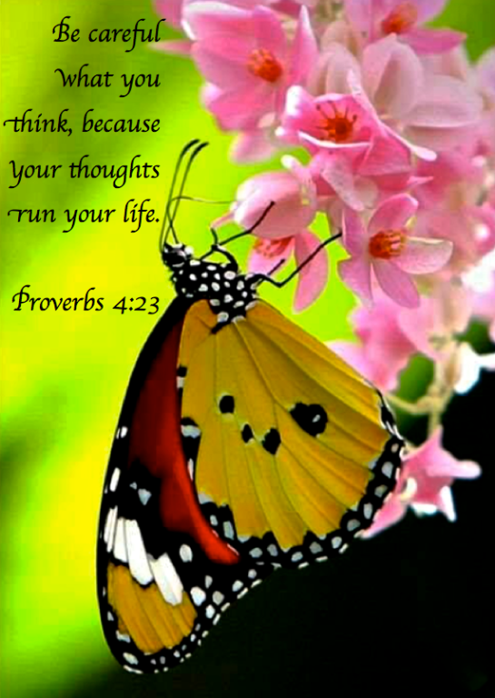 Screen Shot 2018-07-16 at 7.44.49 PM.png