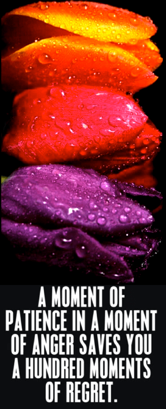 Screen Shot 2018-07-16 at 8.07.37 PM.png