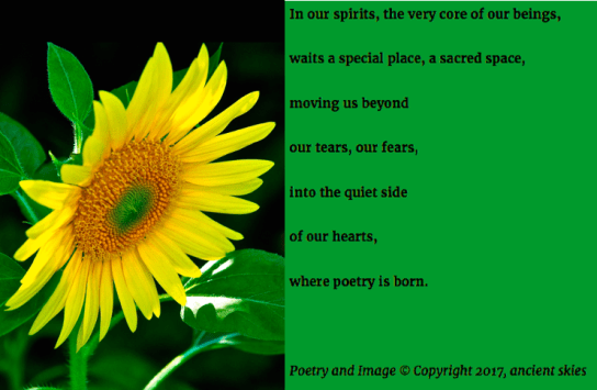 Screen Shot 2018-07-16 at 8.10.27 PM.png