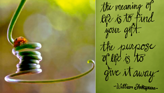 Screen Shot 2018-07-16 at 8.13.51 PM.png