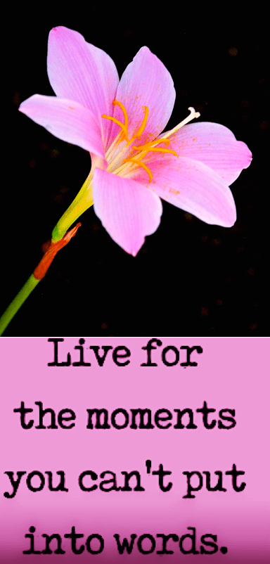 Screen Shot 2018-07-18 at 9.05.44 PM.png