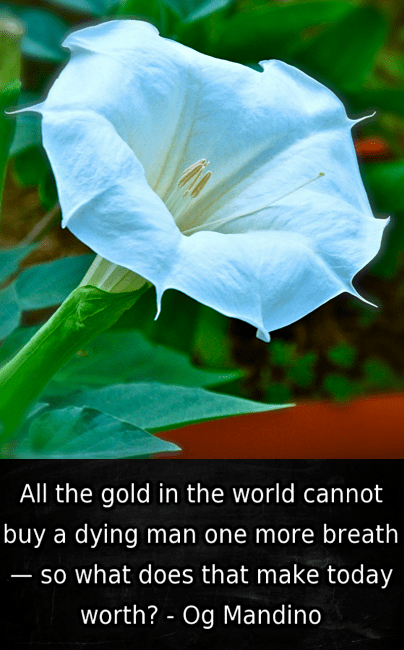 Screen Shot 2018-07-18 at 9.07.21 PM.png