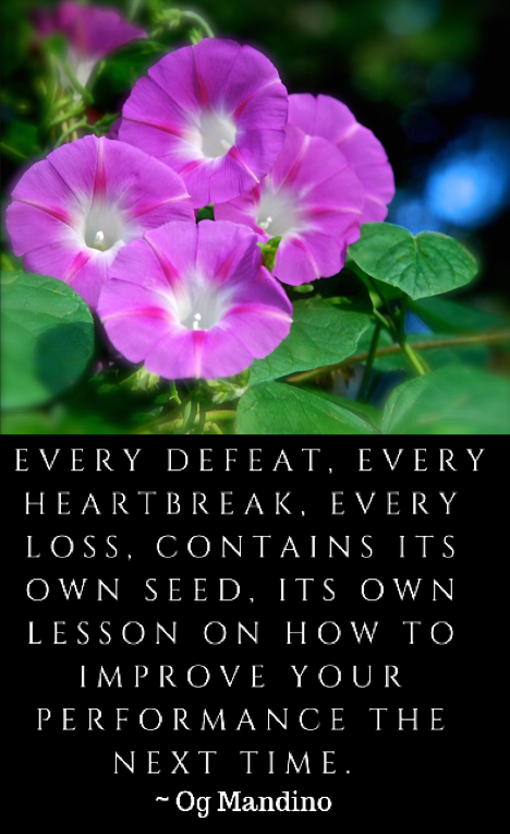 Screen Shot 2018-07-18 at 9.08.43 PM.png