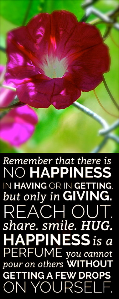 Screen Shot 2018-07-18 at 9.09.58 PM.png