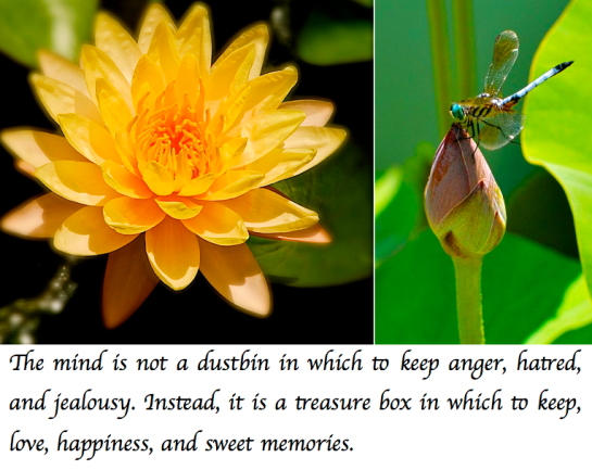 Screen Shot 2018-07-21 at 9.26.55 PM.png