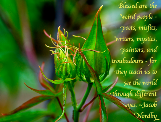 Screen Shot 2018-07-21 at 9.32.02 PM.png