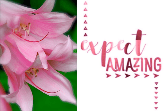 Screen Shot 2018-07-21 at 9.40.16 PM.png