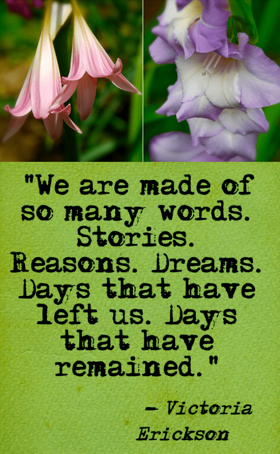 Screen Shot 2018-07-21 at 9.51.10 PM.png