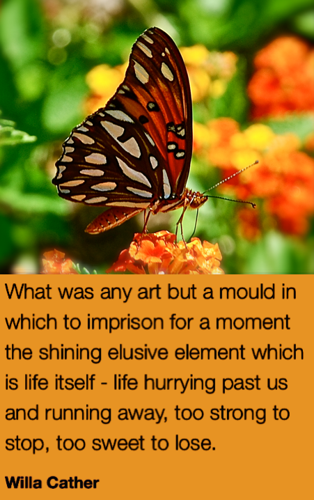 Screen Shot 2018-07-21 at 9.54.44 PM.png