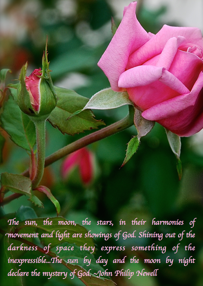 Screen Shot 2018-07-25 at 8.59.33 PM.png