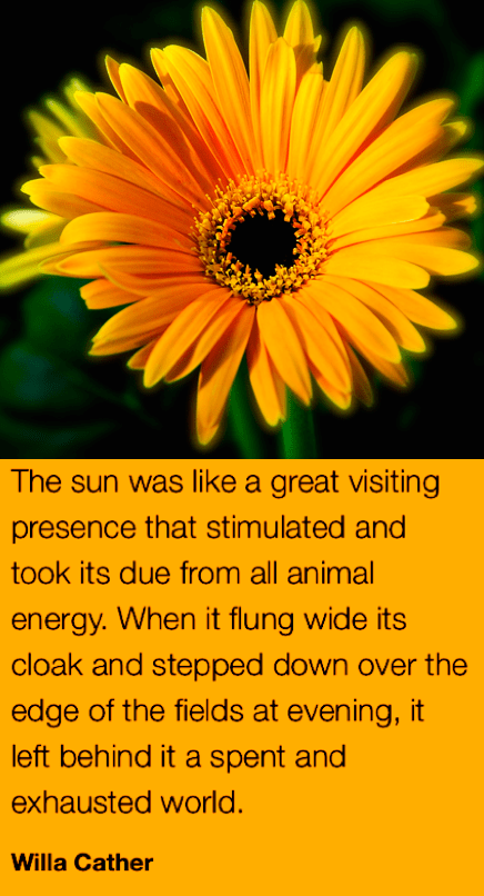 Screen Shot 2018-07-25 at 9.12.15 PM.png