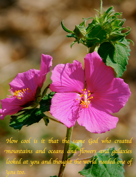 Screen Shot 2018-07-25 at 9.16.27 PM.png