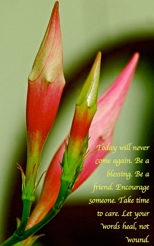 Screen Shot 2018-07-25 at 9.26.06 PM.png