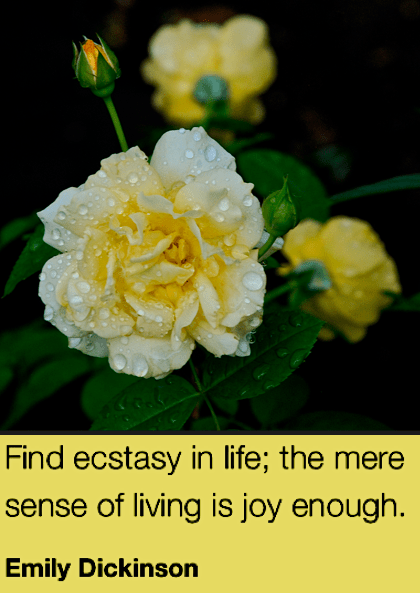 Screen Shot 2018-07-27 at 10.32.21 PM.png