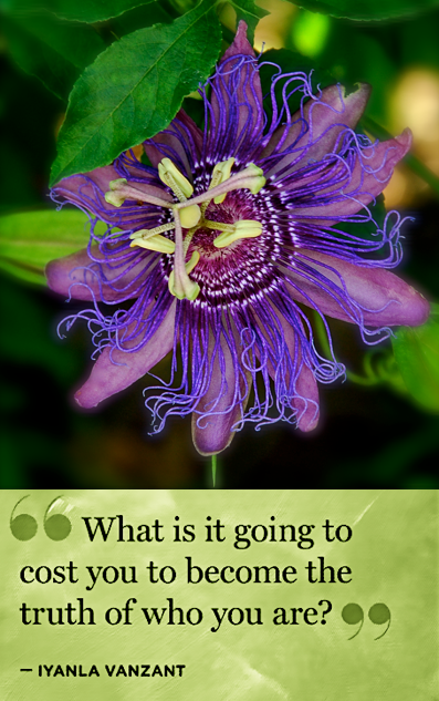 Screen Shot 2018-07-27 at 10.40.32 PM.png