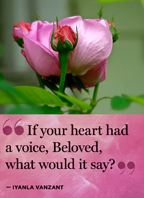 Screen Shot 2018-07-27 at 10.44.51 PM.png