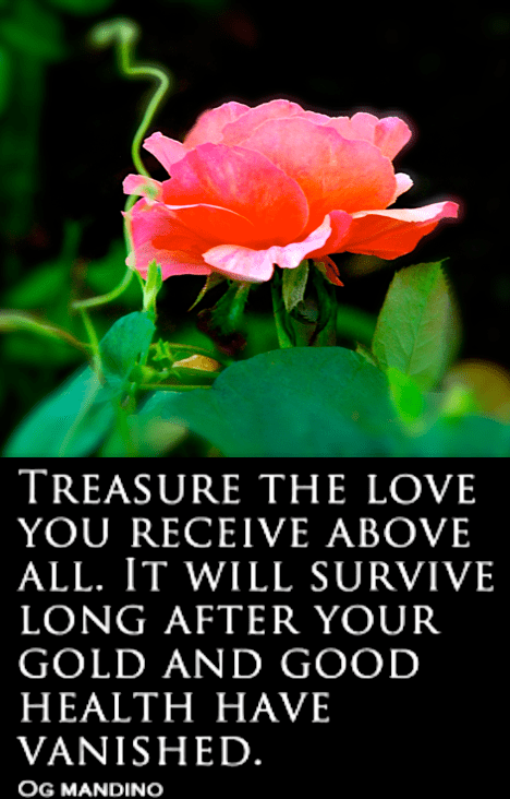 Screen Shot 2018-07-27 at 10.46.51 PM.png