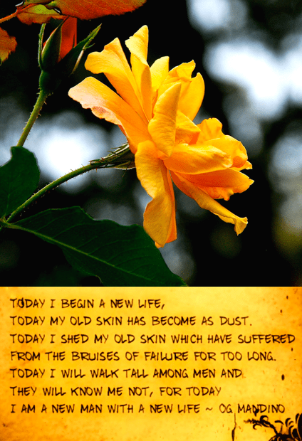 Screen Shot 2018-07-27 at 10.50.47 PM.png