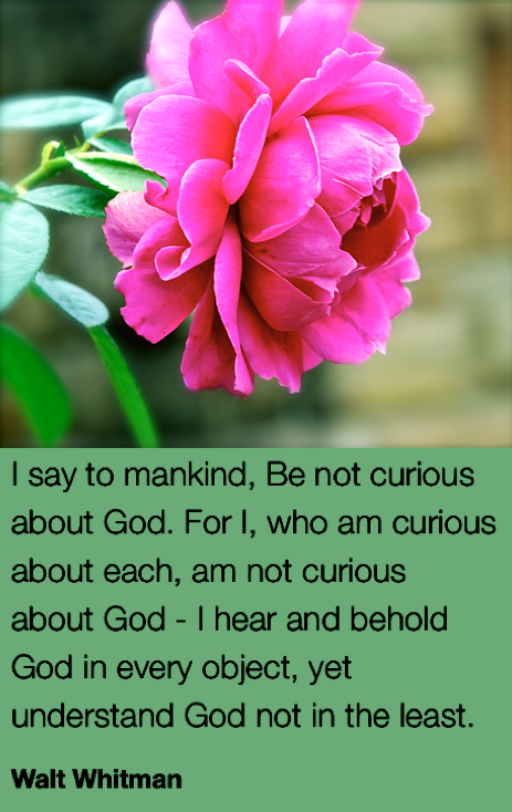 Screen Shot 2018-07-27 at 11.02.30 PM.png