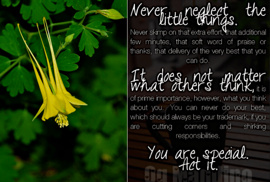 Screen Shot 2018-07-27 at 11.11.24 PM.png