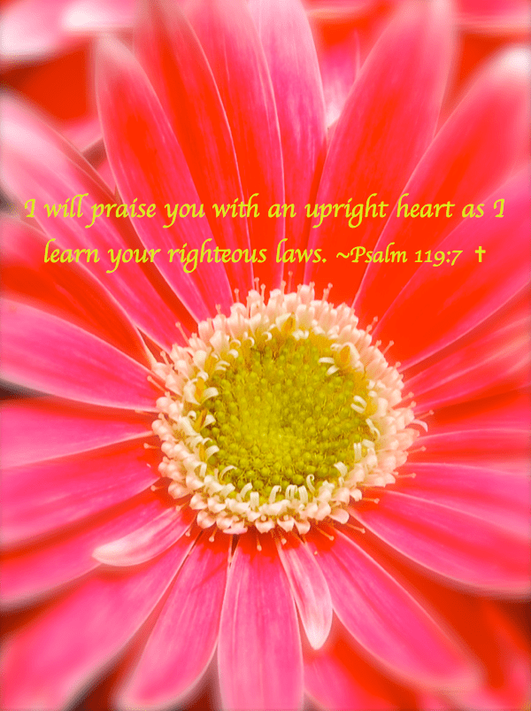 Screen Shot 2018-07-28 at 10.53.18 PM.png