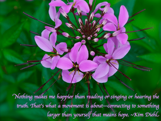 Screen Shot 2018-07-28 at 11.08.55 PM.png